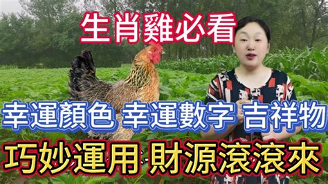 屬雞幸運色|屬雞必看：幸運色改變你命運